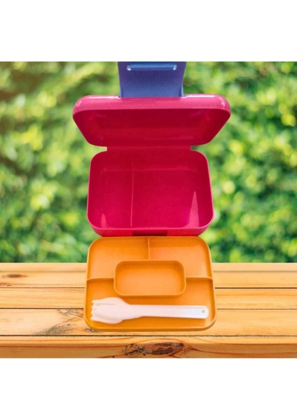 Bölmeli Çocuk Kahvaltı ve Piknik Saklama Kabı, Pembe Renk fiyatları