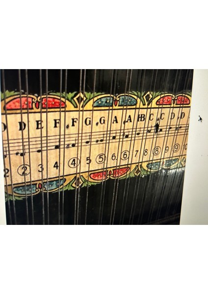 1970’S Jubeltöne Alman Gitar Zihteri 56 cm x 48 cm modelleri