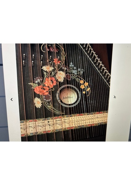 1970’S Jubeltöne Alman Gitar Zihteri 56 cm x 48 cm