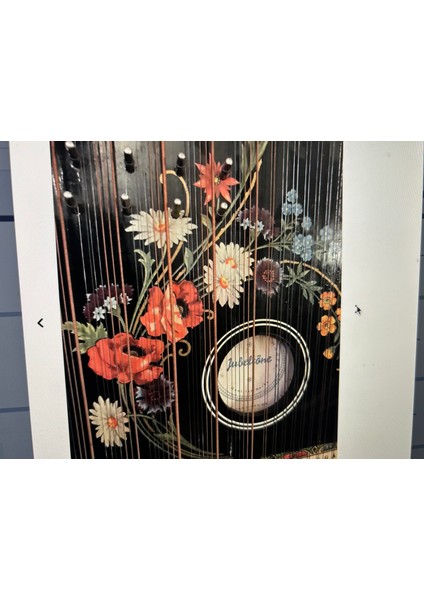 1970’S Jubeltöne Alman Gitar Zihteri 56 cm x 48 cm
