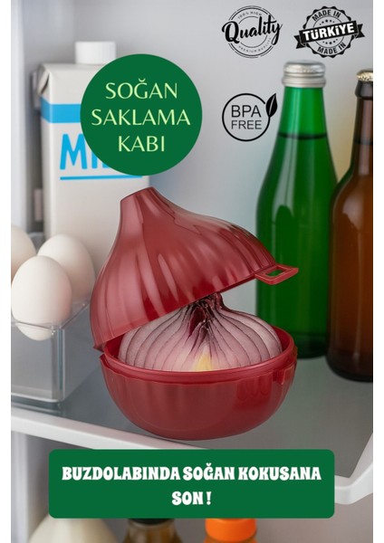 Koku Önleyici Yarım Soğan Saklama Kabı, Pratik Buzdolabı Düzeni