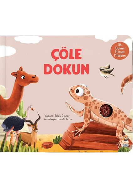 Ilk Dokun Hisset Çöle Dokun