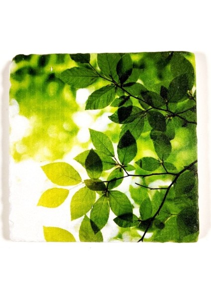 Doğal Taş Figürlü Banyo Gider Kapağı, Şık ve Kullanışlı 10x10 cm