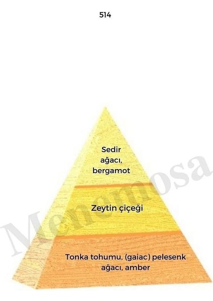 514 228 Erkek/kadın Parfüm Edp 50 ml Oriental - Mnms505142228 fiyatları