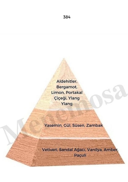 384 150 Kadın Parfüm Edp 50 ml Floral/woody - Mnms50384150 fiyatları