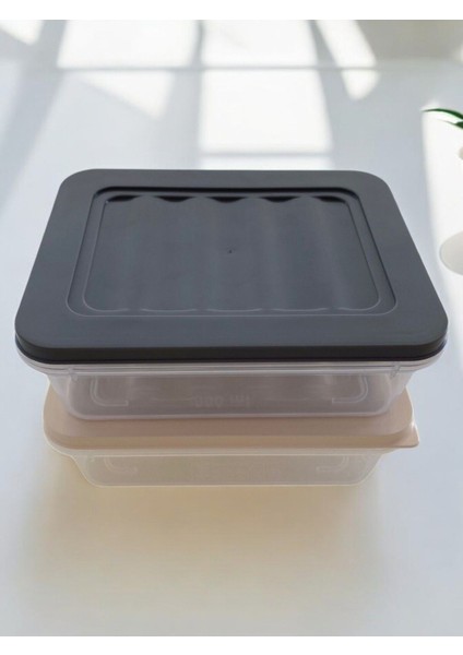 Çiftli Renkli 600 ml Buz Dolabı Saklama Kabı Seti, Düzenli ve Şık Saklama Çözümü fiyatları