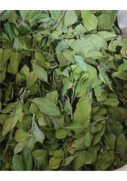 Sidr Yaprağı Tozu (Zizyphus Spina), Arabistan Kirazı Yaprağı, 100 gr modelleri