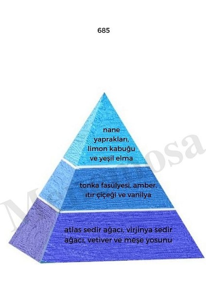 685 711 Erkek Parfüm Edp 50 ml Fresh - Mnms50685711 fiyatları