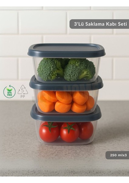 3'lü Kare Saklama Kabı Seti, Bpa Free, Derin Dondurucu Uygun, 250 Ml, Gri