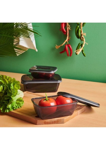 3'lü Saklama Kabı Seti, Antrasit, Sağlıklı ve Şık, Dayanıklı, Pratik Kullanım