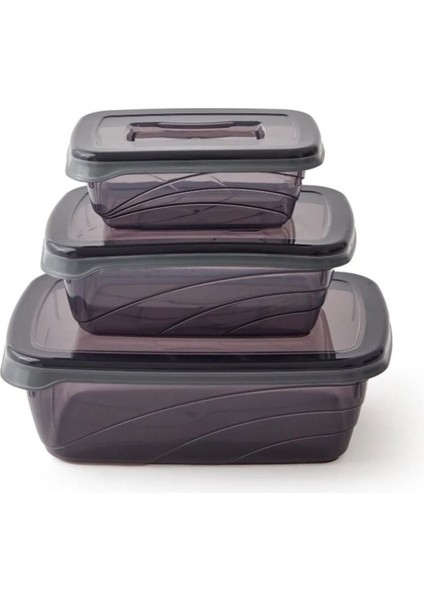 3'lü Saklama Kabı Seti, Antrasit, Sağlıklı ve Şık, Dayanıklı, Pratik Kullanım fiyatları