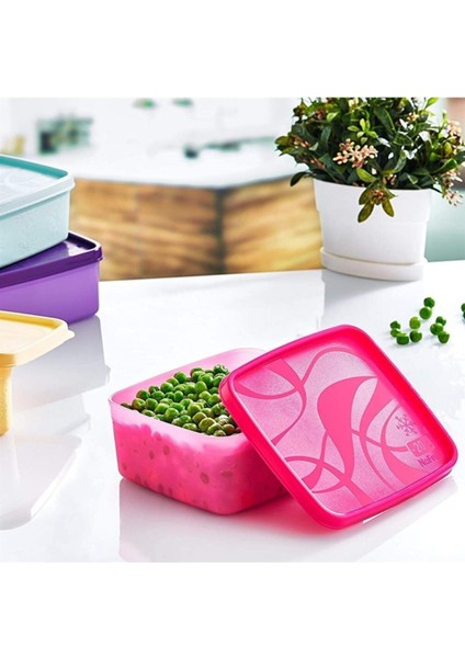 Çok Renkli No-Frost Saklama Kabı 650 ml (SA-970)