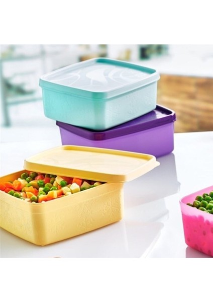 Çok Renkli No-Frost Saklama Kabı 650 ml (SA-970) fiyatları