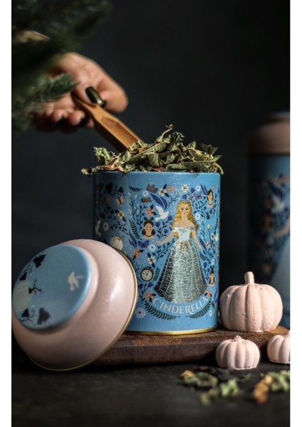 Çocuklar Için Renkli Cinderella Desenli Yuvarlak Metal Saklama Kabı, 9X11 Cm, 0,6 Lt