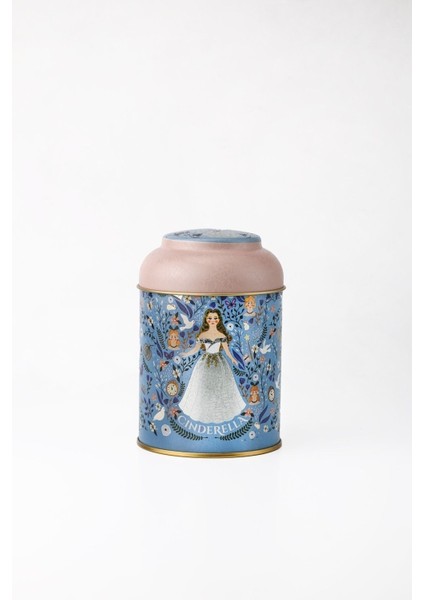 Çocuklar Için Renkli Cinderella Desenli Yuvarlak Metal Saklama Kabı, 9X11 Cm, 0,6 Lt fiyatları