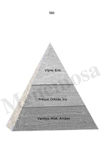 598 150 Unisex/kadın Parfüm Edp 50 ml Oriental/woody - Mnms50598150 modelleri