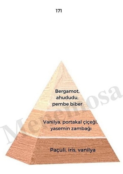 171 517 Kadın/erkek Parfüm Edp 50 ml Floral/woody - Mnms50171517 fiyatları