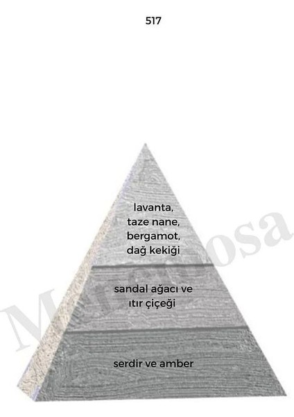 171 517 Kadın/erkek Parfüm Edp 50 ml Floral/woody - Mnms50171517 modelleri