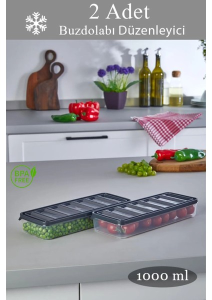 Gri 1 Litre Sızdırmaz Saklama Kabı Seti, 2'li Paket