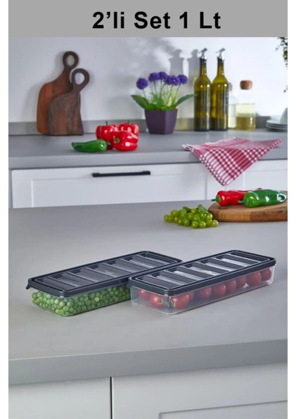 Gri 1 Litre Sızdırmaz Saklama Kabı Seti, 2'li Paket fiyatları