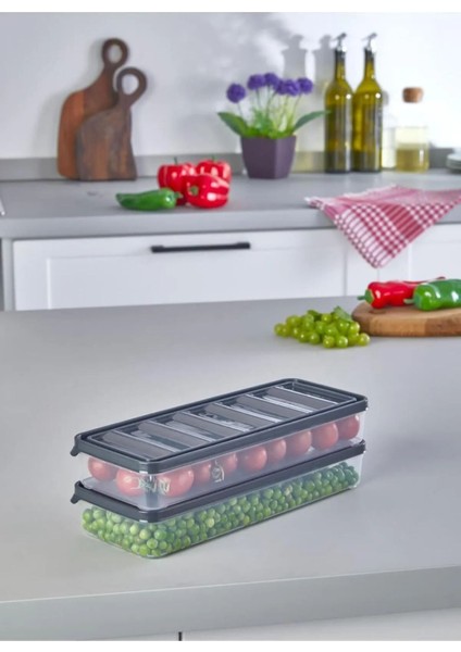 Gri 1 Litre Sızdırmaz Saklama Kabı Seti, 2'li Paket modelleri