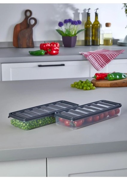 Gri 1 Litre Sızdırmaz Saklama Kabı Seti, 2'li Paket fırsatları