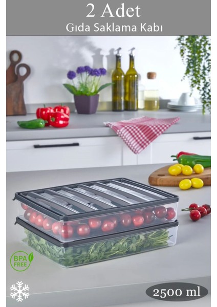 2'li 2,5 Litre Dondurucu ve Gıda Saklama Kabı, Gri Renk