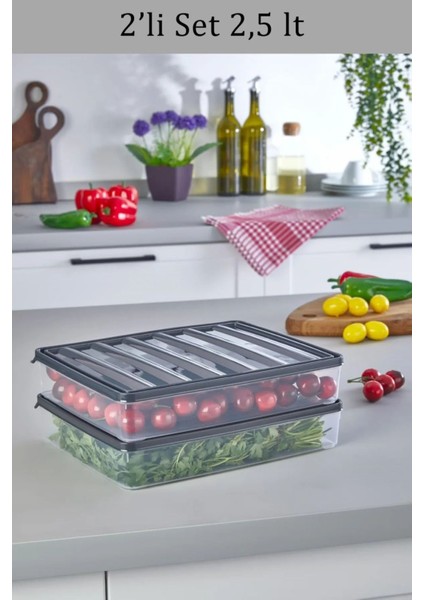 2'li 2,5 Litre Dondurucu ve Gıda Saklama Kabı, Gri Renk fiyatları