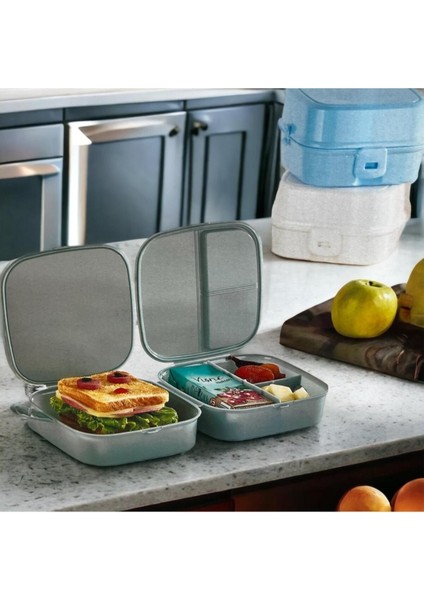 Iki Katlı Mavi 4 Bölmeli Çocuk Beslenme Kutusu ve Saklama Kabı indirimleri