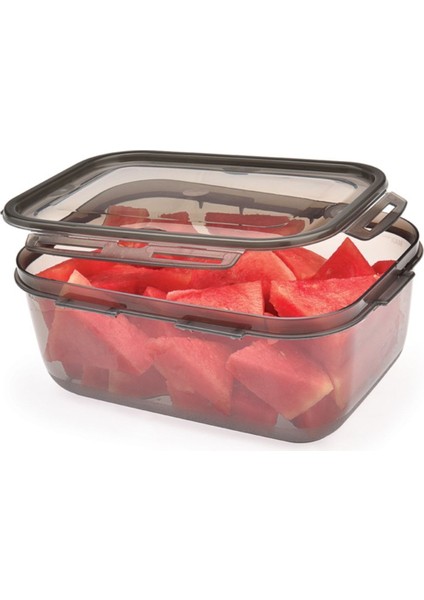 4l Füme Sızdırmaz Kapaklı Saklama Kabı, Güçlü ve Şık Tasarım modelleri