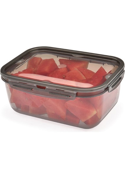 4l Füme Sızdırmaz Kapaklı Saklama Kabı, Güçlü ve Şık Tasarım indirimleri