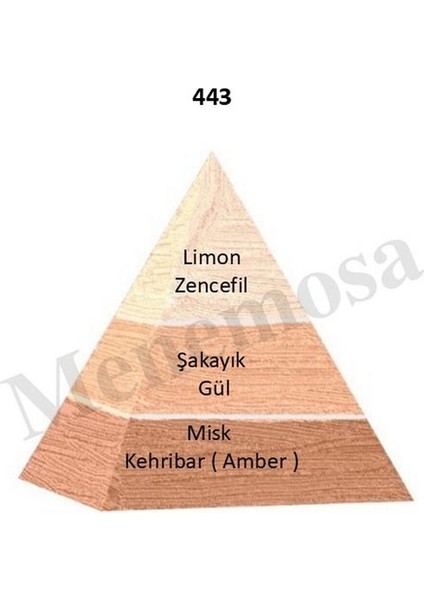 599 443 Kadın / Erkek Parfüm Edp 50 ml Floral / Woody - Mnms50599443 fiyatları