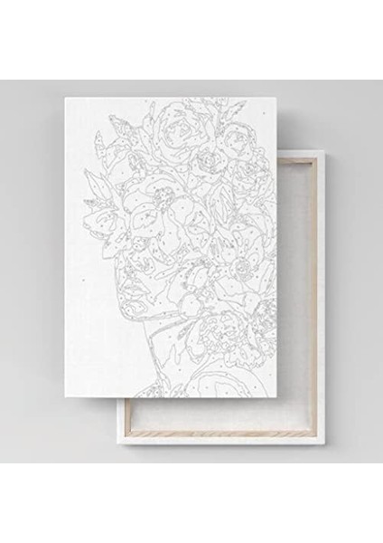 Hobi Sanat Sayılarla Boyama Tuval Seti Fırça Boya Dahil (Çıtalı) 40X50 cm - Amazon fiyatları