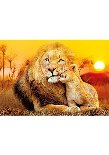 180 El. Super Kolor Unexpected Hug 29785 modelleri