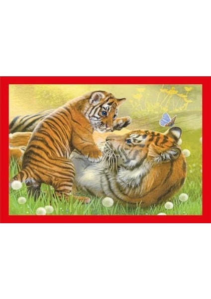 4W1 Super Kolor Baby Cuddles fiyatları