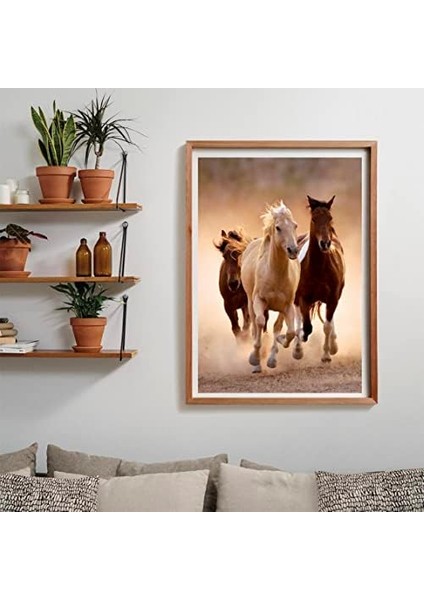 39771 Collection-Running HORSES-1000 Parçalı Yapboz, Yetişkinler Için, Italya'da Üretilmiştir, Çok Renkli fiyatları