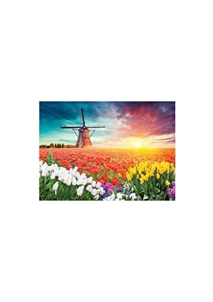 Focus Tulıps And Wındmıll - Puzzle 1000 Parça fiyatları