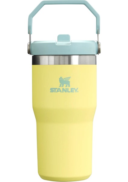 The Iceflow™ Flip Straw Tumbler 20 Oz | Pomelo Pipetli Termos Bardak 0,60 Litre