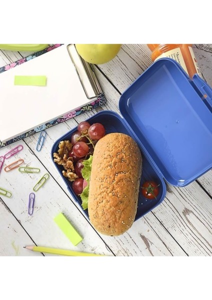 Mavi 1000 ml Günlük Beslenme Kutusu, Sağlıklı ve Şık Saklama Çözümü fiyatları