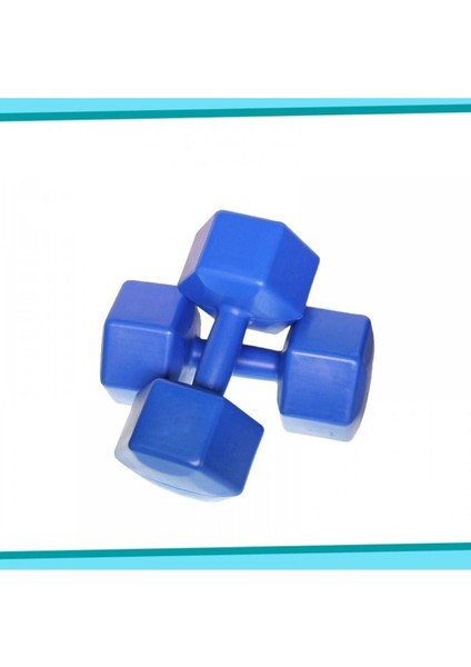 Yüksek Kalite Iç Demir Tozlu Dambıl Ağırlık Seti 2x2 kg Mavi
