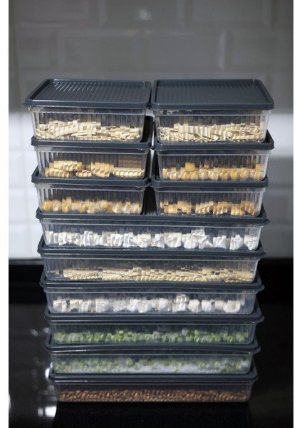 Lacivert 8'li Bpa'sız Buz ve Dondurucu Saklama Kabı, Mutfak ve Kiler Düzeni Için Ideal fiyatları