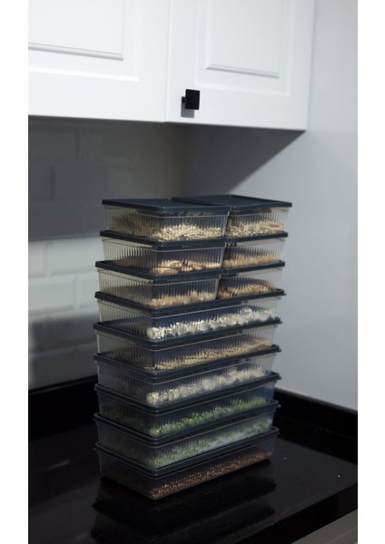 Lacivert 8'li Bpa'sız Buz ve Dondurucu Saklama Kabı, Mutfak ve Kiler Düzeni Için Ideal modelleri