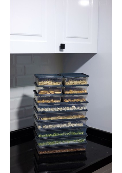 Lacivert 8'li Bpa'sız Buz ve Dondurucu Saklama Kabı, Mutfak ve Kiler Düzeni Için Ideal fırsatları