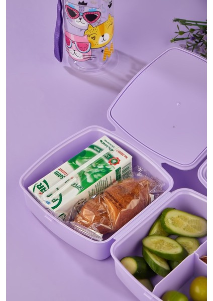 2 Katlı 4 Bölmeli, Pipetli ve Kedili Beslenme Kutusu, Mor Renk