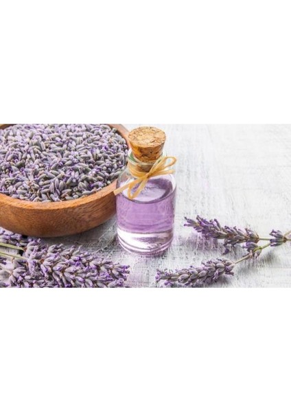 Dökme Lavanta Çiçeği Kurusu Karışık Renk Şoklanmış 500 gr