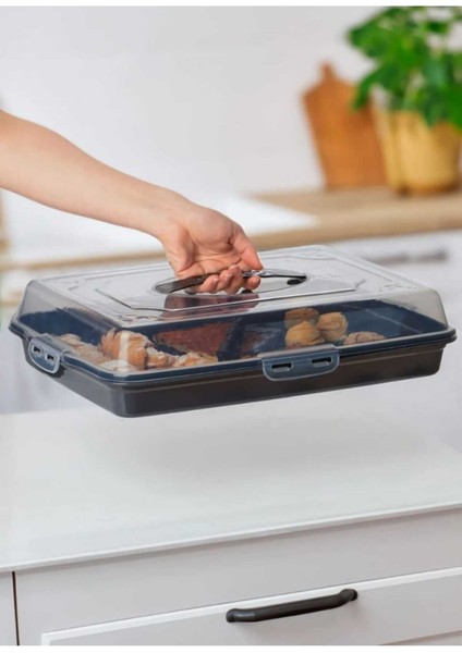 Gri Kilitli Kapaklı Saklama Kabı, Kek ve Börek Için Güvenli Taşıma Fanusu modelleri