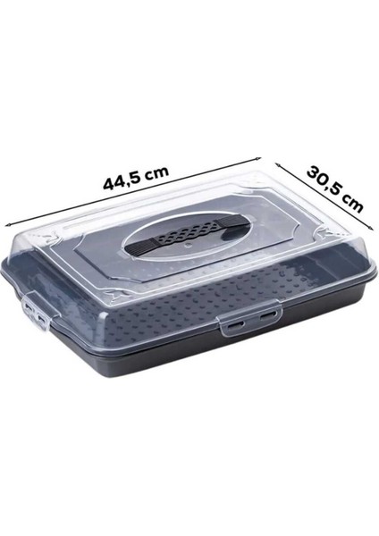 Gri Kilitli Kapaklı Saklama Kabı, Kek ve Börek Için Güvenli Taşıma Fanusu indirimleri