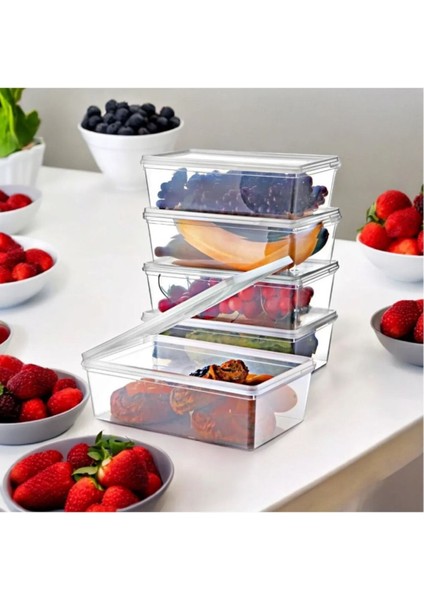 2lt Kendinden Kapaklı Dondurucu Saklama Kutusu, 10'lu Set, Turuncu