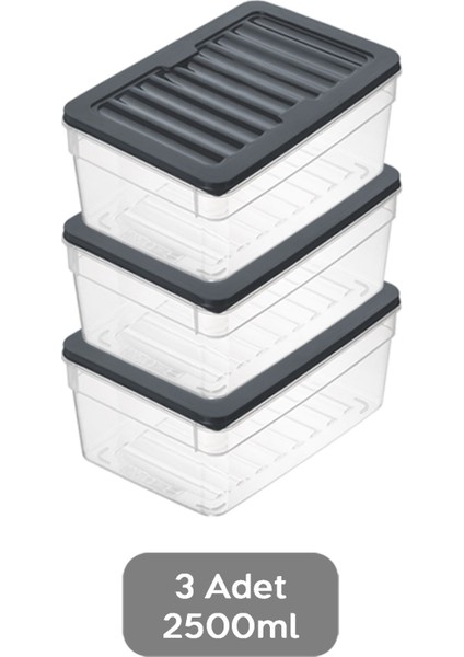 3'lü Derin Mikrodalga Uyumlu Saklama Kabı Seti, 2500ML, Antrasit fiyatları