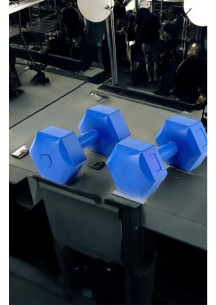 Mavi 2'li 1 kg Demir Tozlu Köşeli Dambıl Seti modelleri